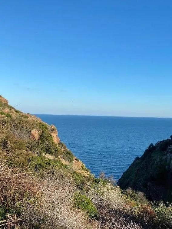 Sea View Apartment Capraia